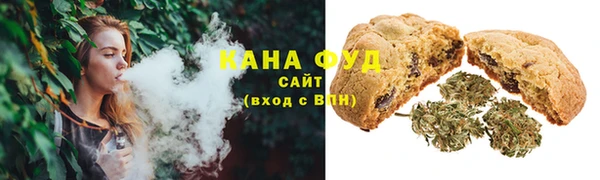 индика Абинск