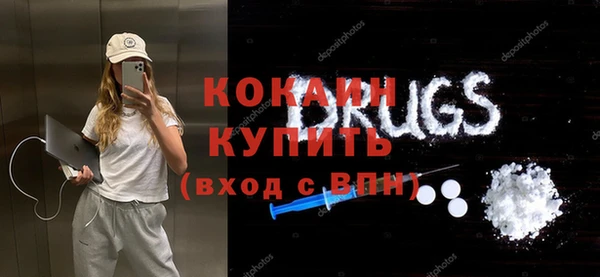 индика Абинск