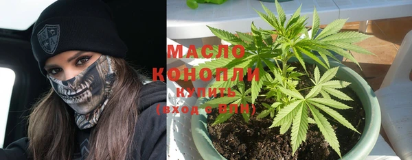 индика Абинск