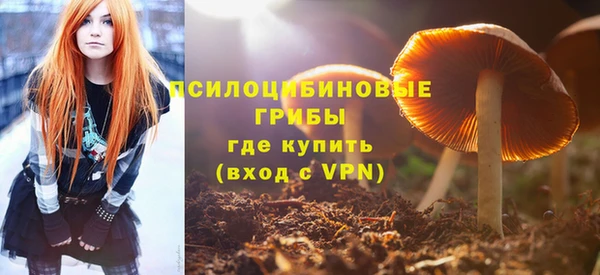 индика Абинск